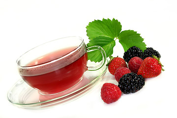 Image showing Forest Fruit Tea