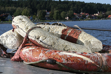 Image showing Lifebuoy