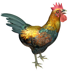 Image showing The Cock