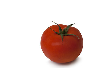 Image showing Isolated tomato