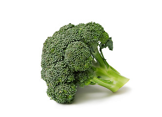 Image showing Isolated broccoli