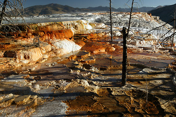 Image showing Beauty Of Mammoth Springs