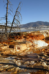 Image showing Plendor Of Mammoth Springs