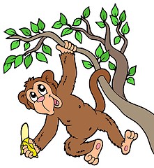 Image showing Monkey with banana on tree