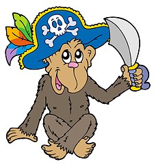 Image showing Pirate monkey