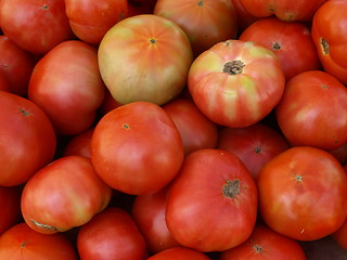 Image showing Red tomatoes