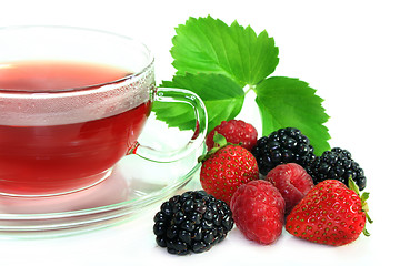 Image showing Forest Fruit Tea