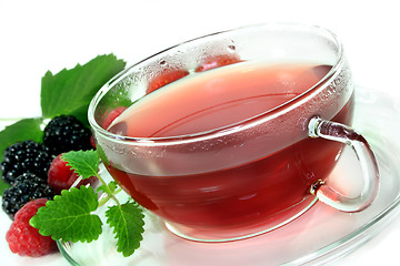 Image showing Forest Fruit Tea