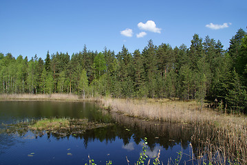 Image showing Peaceful Marshland Lake Scenery in Finland