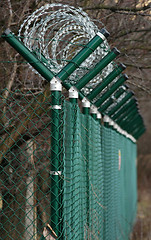 Image showing green wire fence around trees