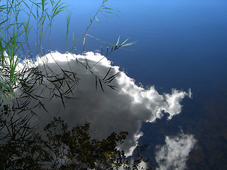 Image showing Reflection of a cloud in water of wood lake