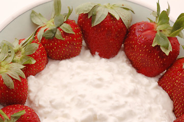 Image showing cottage cheese strawberries