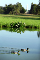 Image showing Lake in park, castle in Zamecke Lednice