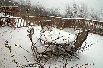 Image showing Spring Snowfall on Lilac Buds