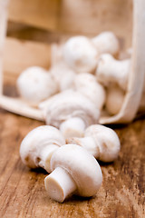 Image showing fresh champignon