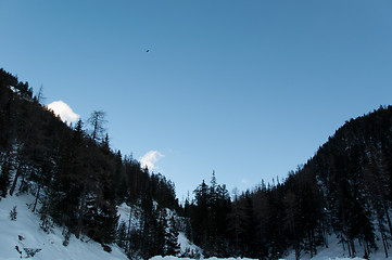 Image showing Mountain scenario with trees and snow