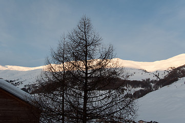 Image showing Sunrise in snowy Italian alps