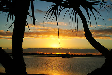 Image showing Bent Tree Sunrise