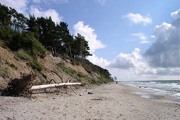 Image showing Seashore