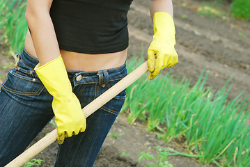 Image showing gardening