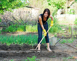 Image showing gardening