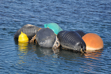 Image showing Colourful Buoys