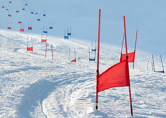 Image showing Ski gates with parallel slalom