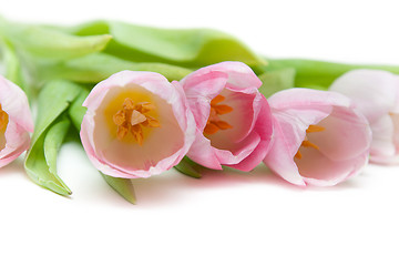Image showing Bouquet rose tulip