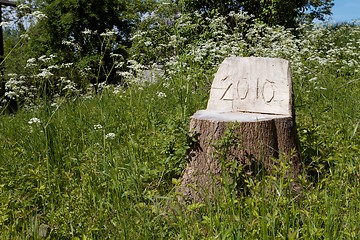 Image showing Tree stub chair