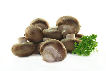 Image showing Mushroom