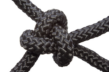 Image showing Bowline Knot isolated