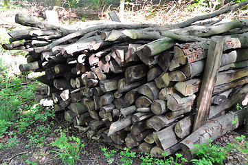 Image showing Firewood stack 1