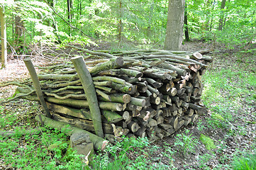 Image showing Firewood stack 2