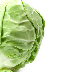 Image showing green cabbage