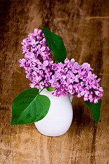 Image showing lilac blooms