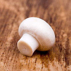 Image showing fresh champignon