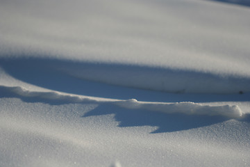 Image showing Winter Background