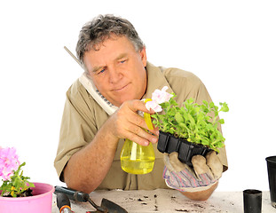 Image showing Nurseryman With Telephone