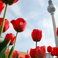 Image showing TV Tower, Berlin