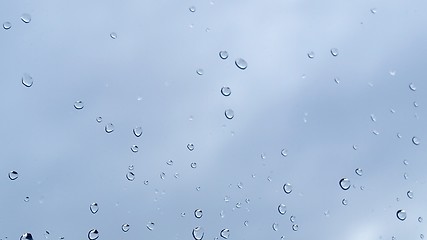 Image showing Rain droplets