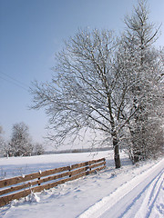 Image showing Winter Scene