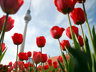 Image showing TV Tower, Berlin