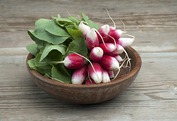 Image showing Fresh Radish