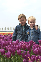 Image showing Boys Between Tulips