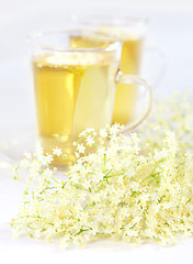 Image showing Elder flower tea