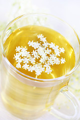 Image showing Elder flower tea