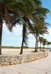 Image showing pedestrian promenade south beach miami florida