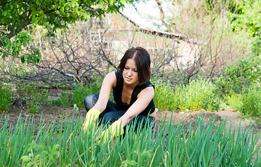 Image showing gardening