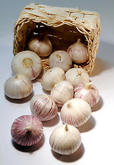 Image showing Whole garlic with basket