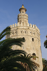 Image showing Seville - Torre del Oro